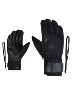 Ziener Genio Gtx Pr Glove Ski Alpine
