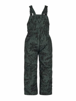 Protest B Prthavin Td Salopette -Winter Sportswear PRTHAVIN TD Salopette Huntergreen back