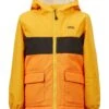 Picture B Snowy Toddler Jacket -Winter Sportswear Picture B Snowy Toddler Jacket 2023 B Yellow 1